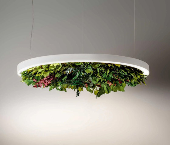 Gavin Silence Leaf | Suspended lights | OLEV