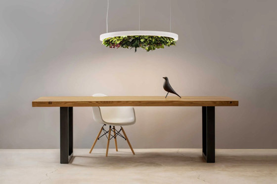 Gavin Silence Leaf | Suspended lights | OLEV