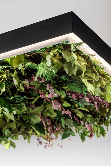 Meeting Silence Leaf | Suspended lights | OLEV