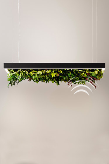 Meeting Silence Leaf | Suspended lights | OLEV