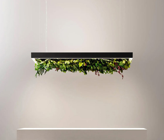 Meeting Silence Leaf | Suspended lights | OLEV