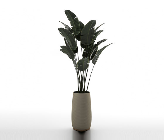 Selina Round Planter Thin 71 | Pots de fleurs | Design Pergola