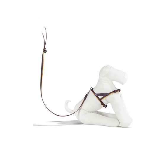 Pet Collection | Harness | Arredo animali | Poltrona Frau