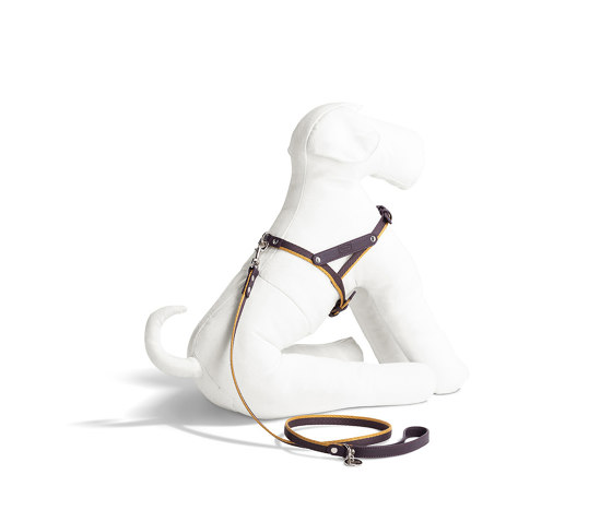 Pet Collection | Harness | Pet furniture | Poltrona Frau