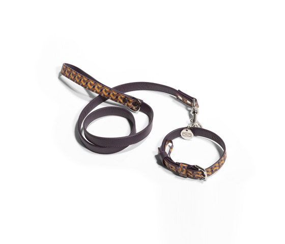 Pet Collection | Leash | Mobilier animaux | Poltrona Frau