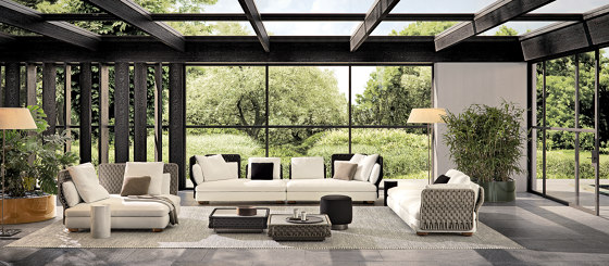 Amii | Sofas | Minotti