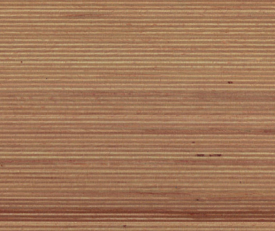 Plexwood - Haya | Planchas de madera | Plexwood