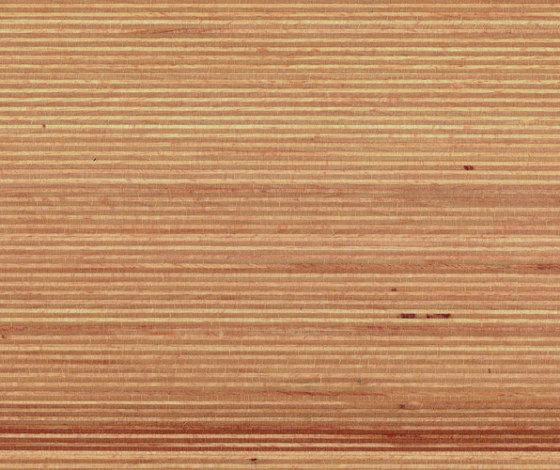 Plexwood - Buche | Holz Platten | Plexwood