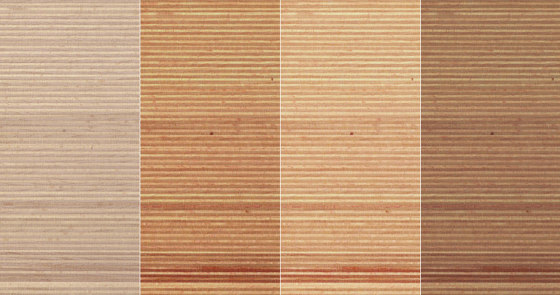 Plexwood - Haya | Planchas de madera | Plexwood