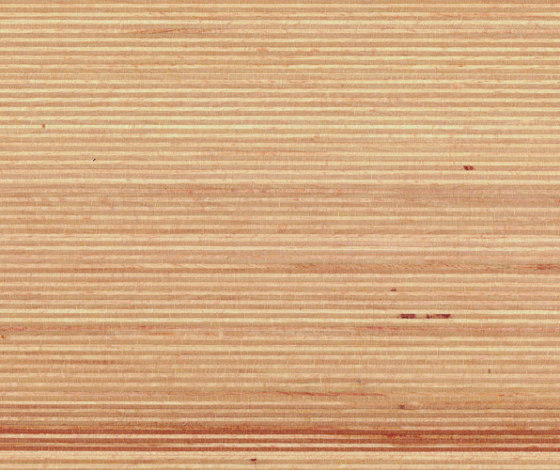 Plexwood - Beech | Wood panels | Plexwood