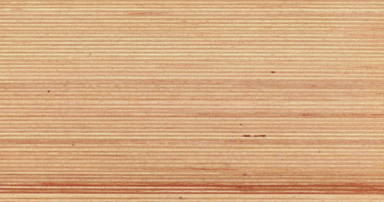 Plexwood - Haya | Planchas de madera | Plexwood