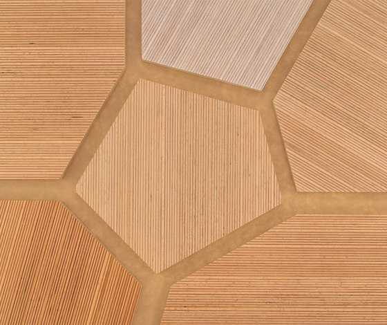 Plexwood - Haya referencias de color | Planchas de madera | Plexwood