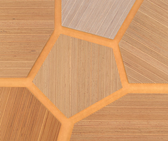 Plexwood - Haya referencias de color | Planchas de madera | Plexwood