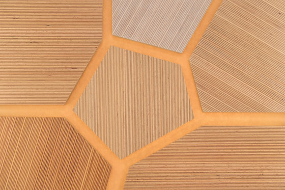 Plexwood - Hêtre Yellow 09 | Panneaux de bois | Plexwood