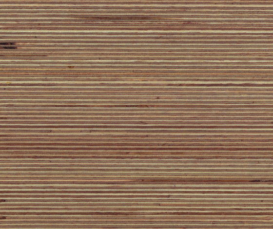 Plexwood - Betulla | Pannelli legno | Plexwood