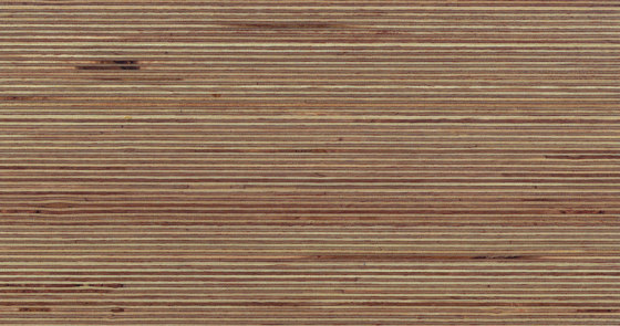 Plexwood - Abedul | Planchas de madera | Plexwood