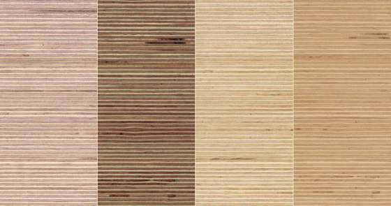 Plexwood - Birke | Holz Platten | Plexwood