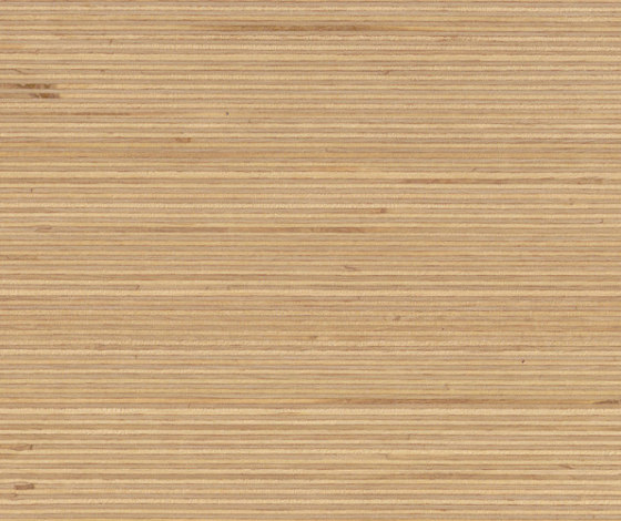 Plexwood - Bouleau | Panneaux de bois | Plexwood