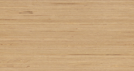 Plexwood - Abedul | Planchas de madera | Plexwood