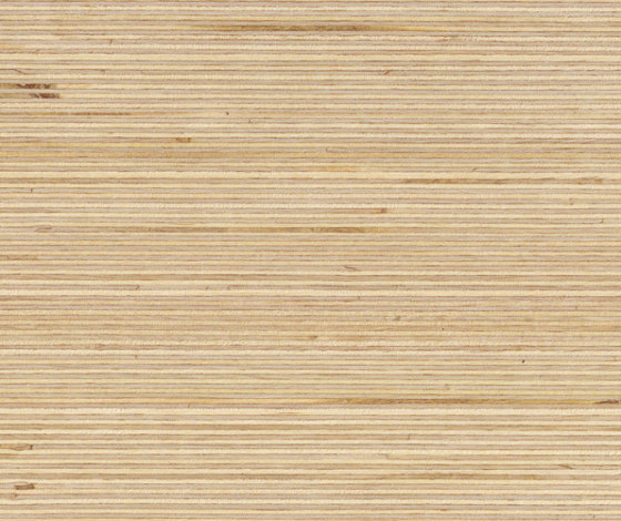 Plexwood - Abedul | Planchas de madera | Plexwood