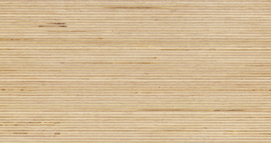 Plexwood - Abedul | Planchas de madera | Plexwood