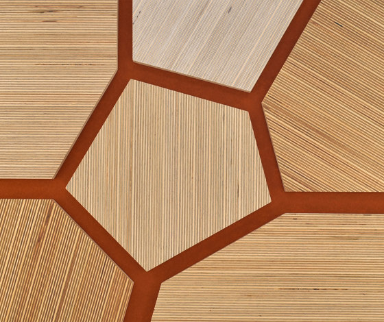 Plexwood - Abedul referencias de color | Planchas de madera | Plexwood