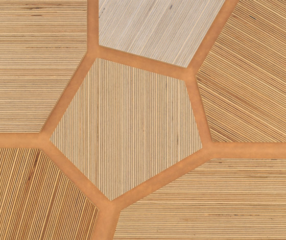 Plexwood - Abedul referencias de color | Planchas de madera | Plexwood