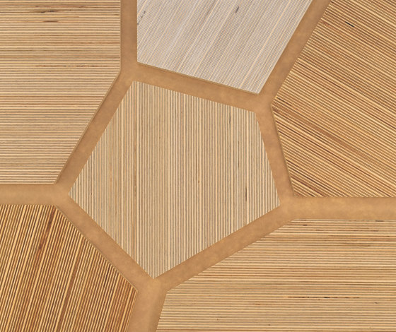 Plexwood - Abedul referencias de color | Planchas de madera | Plexwood