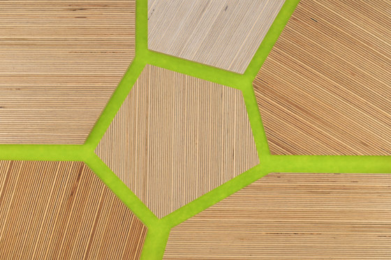 Plexwood - Betulla Green 42 | Pannelli legno | Plexwood