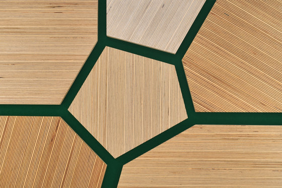 Plexwood - Betulla Green 46 | Pannelli legno | Plexwood