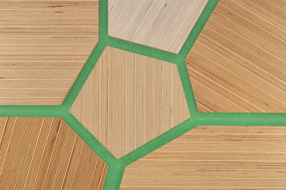 Plexwood - Birke Green 68 | Holz Platten | Plexwood