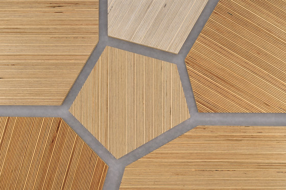 Plexwood - Birke Grey 37 | Holz Platten | Plexwood