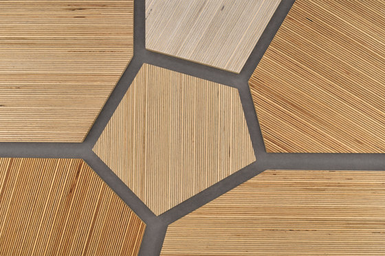 Plexwood - Birke Grey 38 | Holz Platten | Plexwood