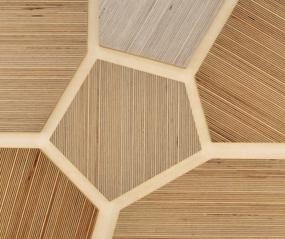 Plexwood - Abedul referencias de color | Planchas de madera | Plexwood