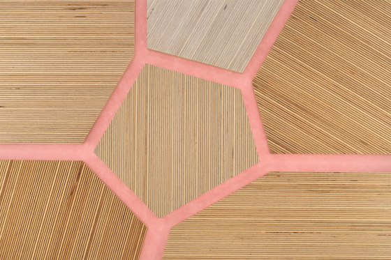 Plexwood - Bouleau Pink 65 | Panneaux de bois | Plexwood