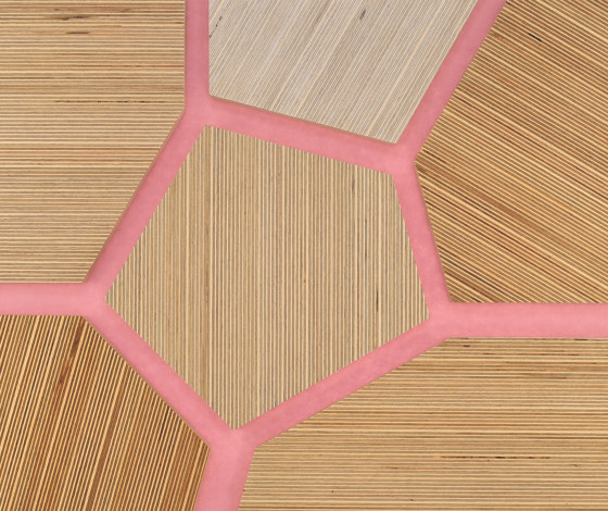 Plexwood - Abedul referencias de color | Planchas de madera | Plexwood