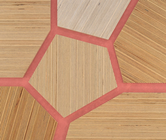 Plexwood - Abedul referencias de color | Planchas de madera | Plexwood