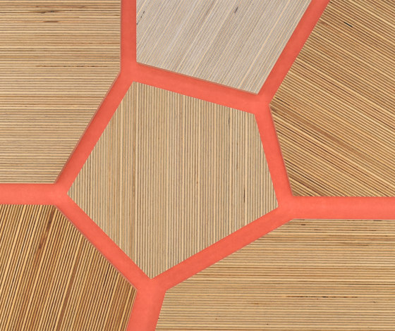 Plexwood - Abedul referencias de color | Planchas de madera | Plexwood