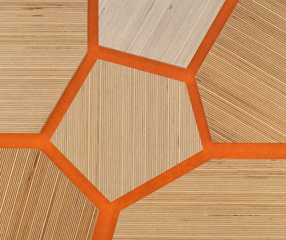 Plexwood - Birke Farbreferenzen | Holz Platten | Plexwood