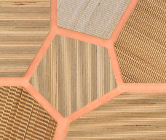 Plexwood - Birke Farbreferenzen | Holz Platten | Plexwood