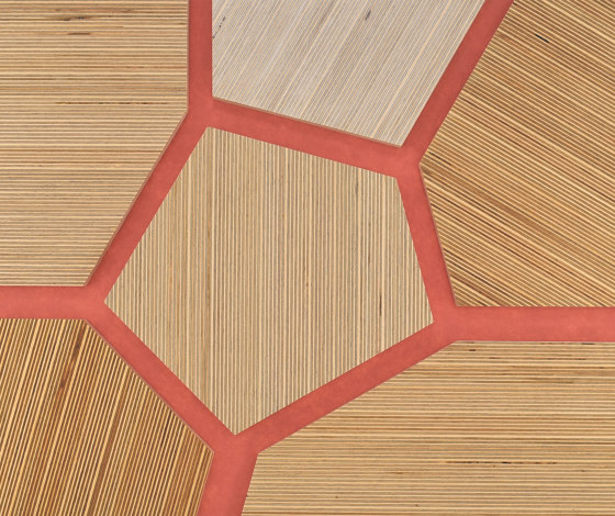 Plexwood - Abedul referencias de color | Planchas de madera | Plexwood