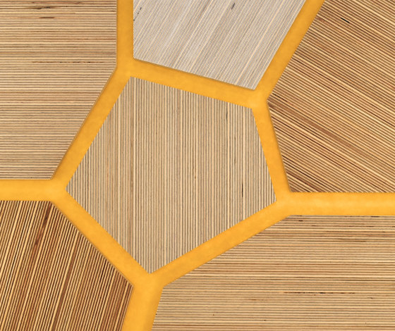 Plexwood - Abedul referencias de color | Planchas de madera | Plexwood