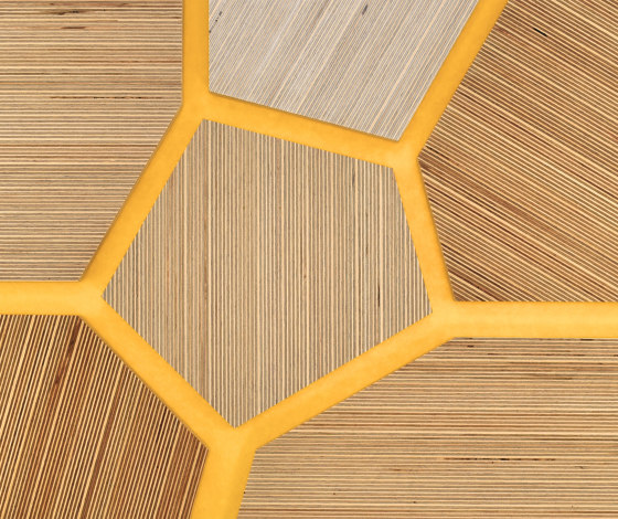 Plexwood - Birke Farbreferenzen | Holz Platten | Plexwood