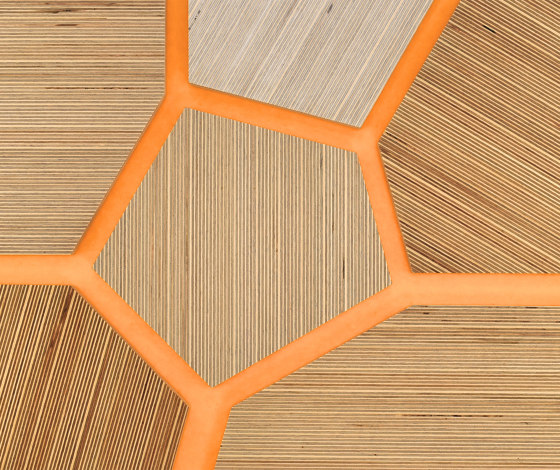 Plexwood - Abedul referencias de color | Planchas de madera | Plexwood