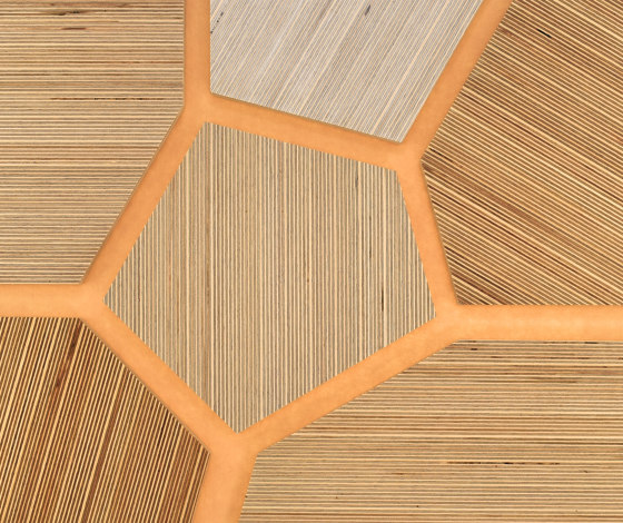 Plexwood - Birke Farbreferenzen | Holz Platten | Plexwood