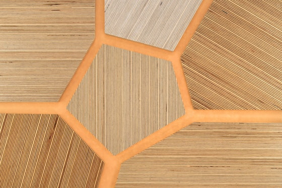 Plexwood - Birke Yellow 09 | Holz Platten | Plexwood