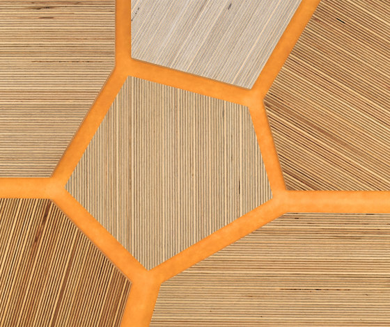 Plexwood - Betulla riferimenti di colore | Pannelli legno | Plexwood