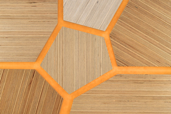 Plexwood - Abedul Yellow 10 | Planchas de madera | Plexwood