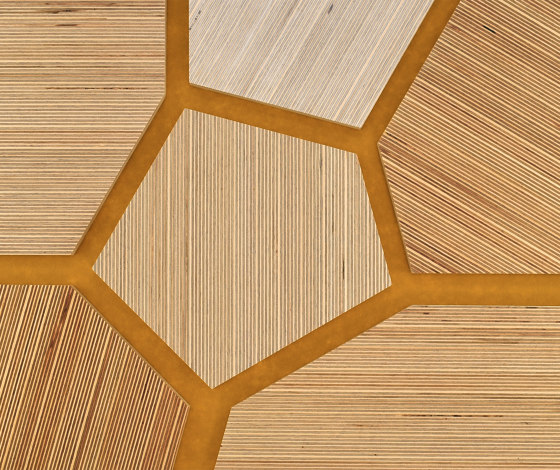 Plexwood - Abedul referencias de color | Planchas de madera | Plexwood