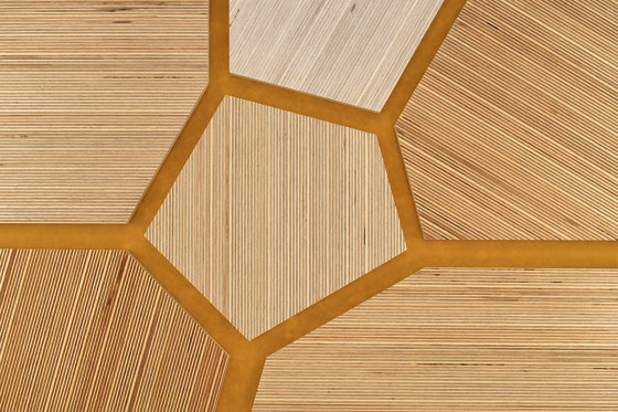 Plexwood - Abedul Yellow 12 | Planchas de madera | Plexwood